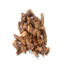 wholesale dried galangal with competitive price